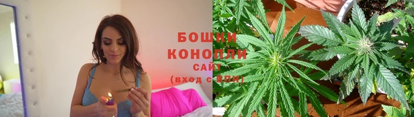 spice Дмитриев