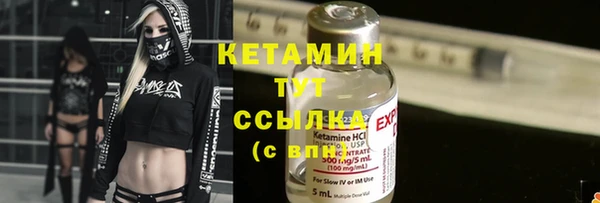 spice Дмитриев