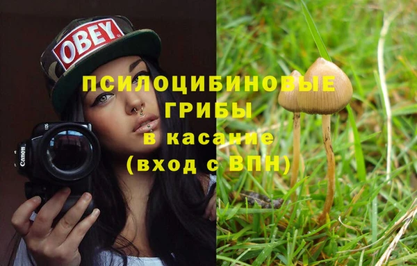 ECSTASY Дмитровск