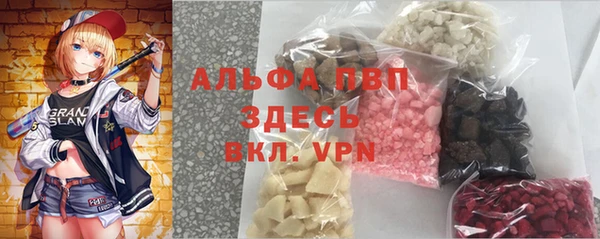 spice Дмитриев