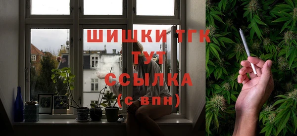 spice Дмитриев