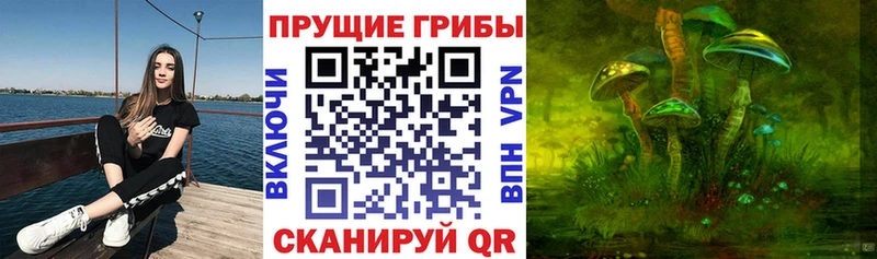 Купить закладки  Константиновск  Галлюциногенные грибы Psilocybe 
